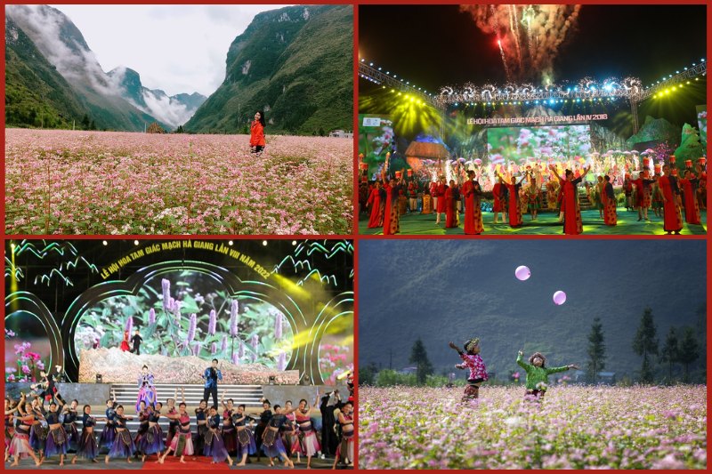 Buckwheat Flower Festival in Ha Giang